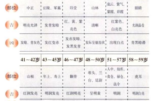 面相揭秘：宽鼻大福，财运亨通之相