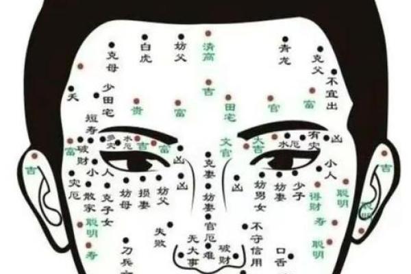 面相揭秘：头部硕大、耳廓薄弱背后的命运密码