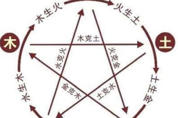 博五行：如何运用五行理论调整个人运势