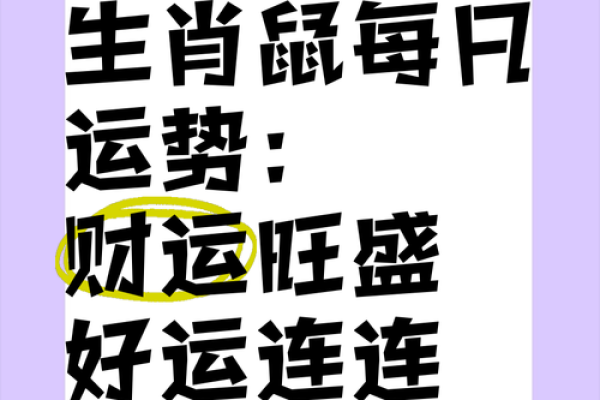 壬子鼠运势揭秘：财富亨通，福禄双全
