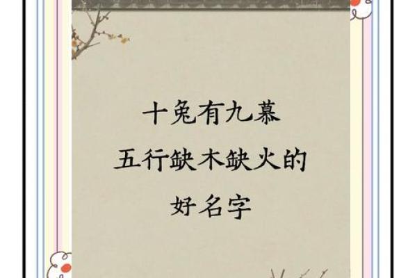 探索木火五行字的象征意义