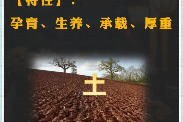 探索木火五行字的象征意义