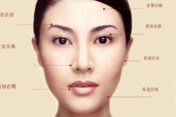 逆袭人生：揭秘下巴肥面相的隐藏魅力！