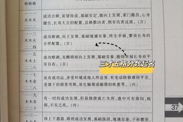 公司名字数理分析与吉凶预测