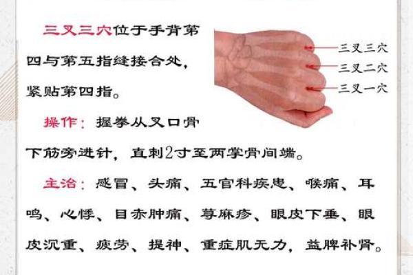 董字的五行意义与影响