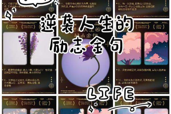 佳秀人生，姓名运势双优，揭秘佳秀名字的璀璨光芒