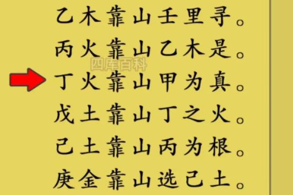 五行之木：解析与木相关的汉字之美