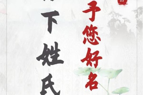 名字的独特魅力与文化深意
