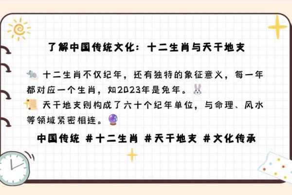 生肖地支好坏榜：揭秘哪个生肖运势最佳？