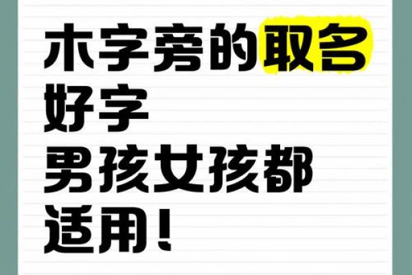 精选木字旁男孩名字，寓意深远又有气质