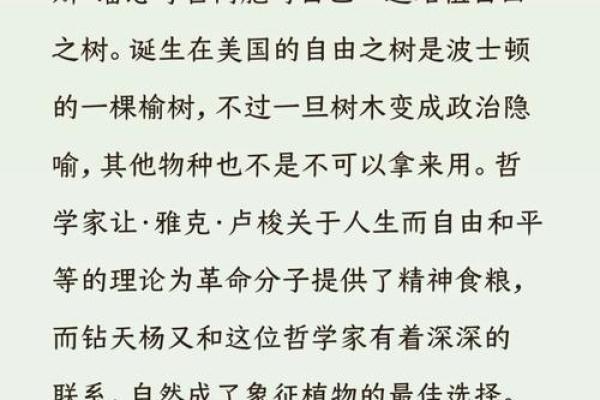 探索杨文这个名字的深层寓意与文化背景