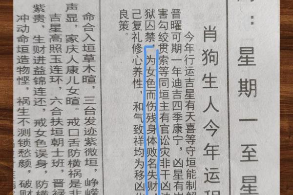 地支生肖秘籍：开启你的运势之门