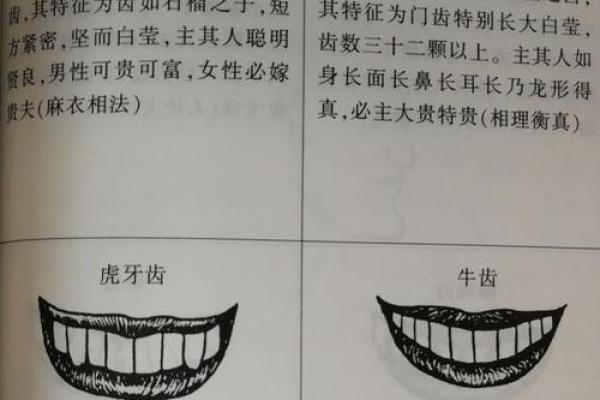 牙齿稀疏面相之谜