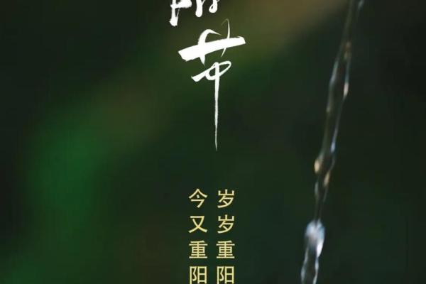 瑞雪纷飞，重阳登高话佳节