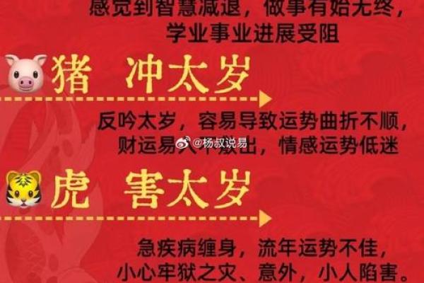 寅年运势大解析，财富运势一飞冲天