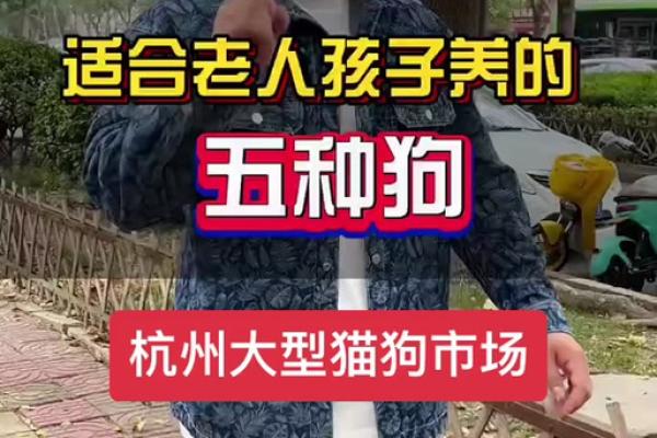 为哈士奇起名：创意灵感，个性十足的名字盘点