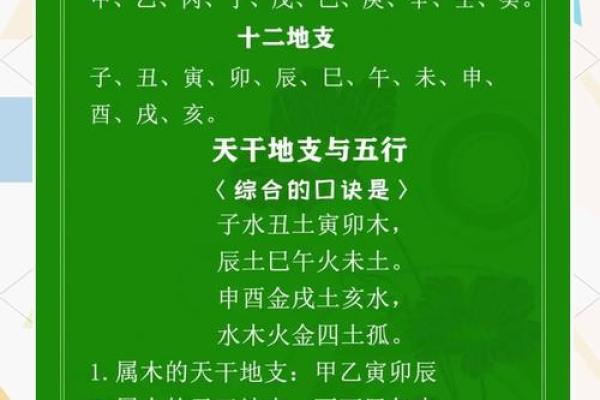 天干地支奇缘：揭秘无根地支的神秘力量