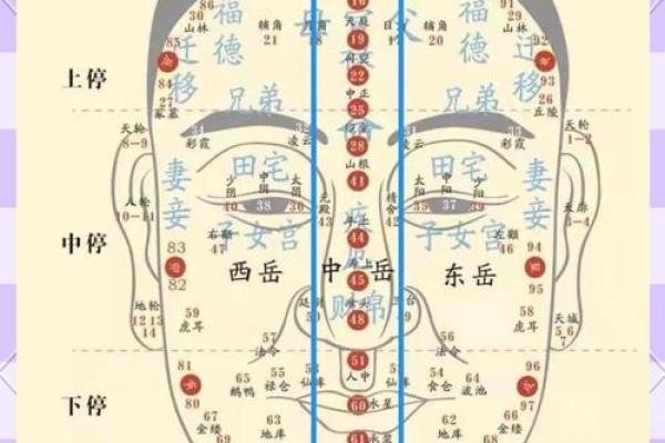 男人扣面相：揭秘颜值与命运的秘密！