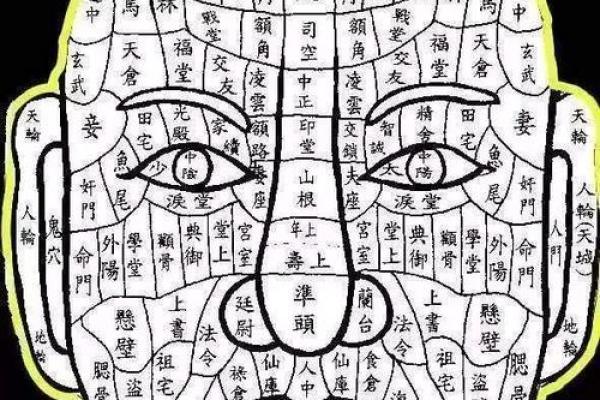 面相揭秘：脸内缩的神秘寓意