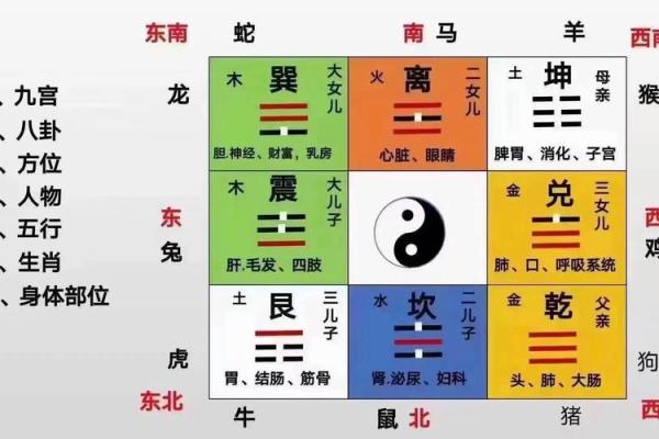 招财进宝秘境，家居风水秘籍大公开！