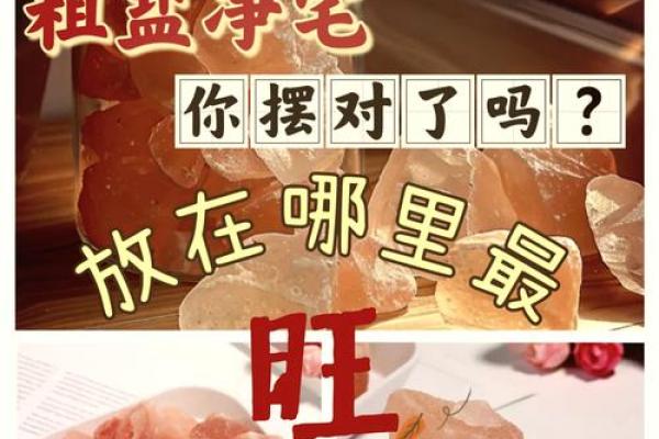 赚钱最快秘法，家居风水大揭秘！