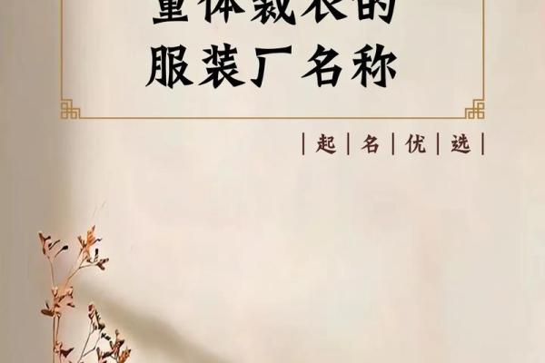 如何为服装公司选一个既时尚又有创意的名字