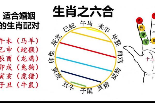 地支会杀：生肖之间的神秘较量，谁是幕后黑手？