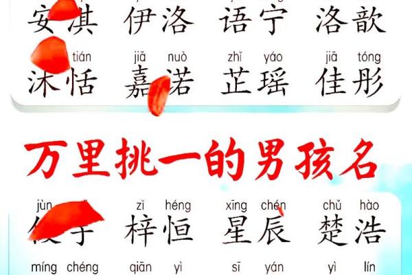 名字如画，文宝宝起名创意无限