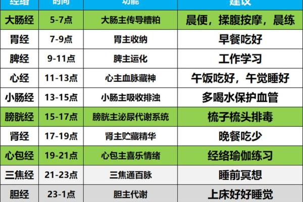 卯时养生，揭秘十二时辰中的活力源泉