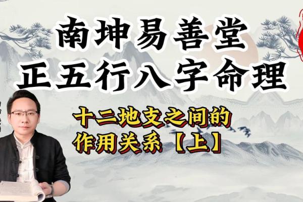 地支动天下：揭秘古老智慧的奥秘