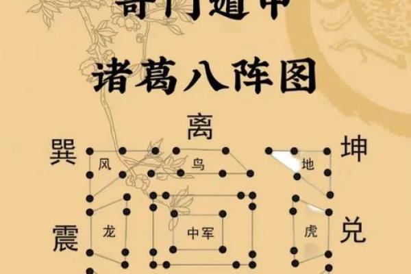 地支动天下：揭秘古老智慧的奥秘