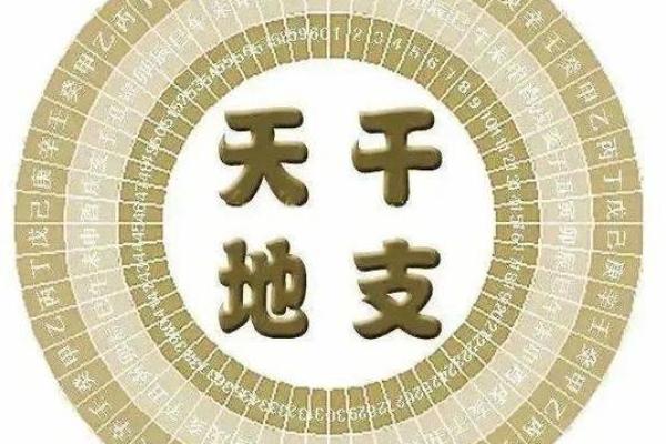 天机不可泄露：地支暗藏的神秘符号