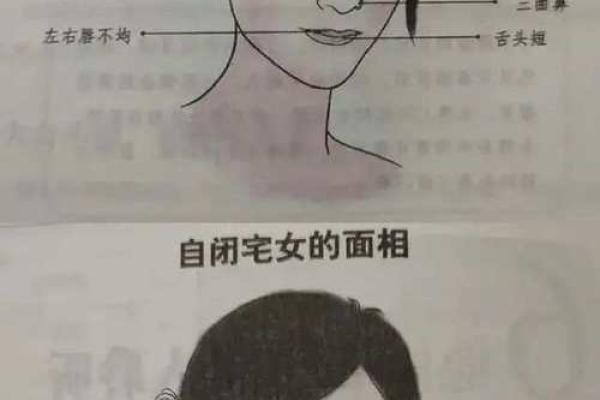 面相解析：揭秘好面相男生的魅力秘诀