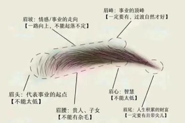 面相解析：揭秘好面相男生的魅力秘诀
