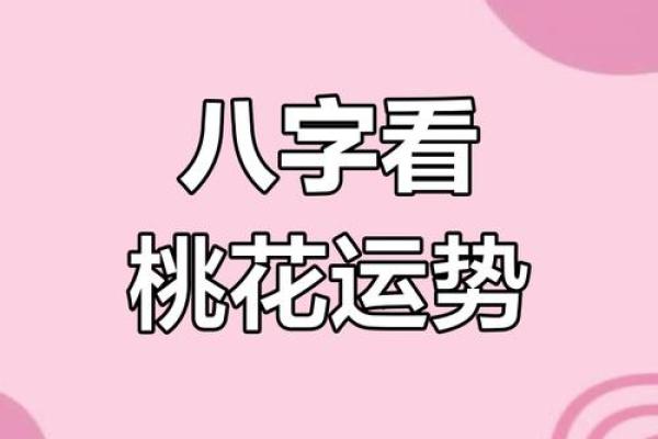 独家揭秘：地支桃花运势大公开