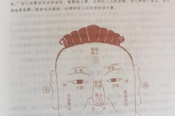 面相揭秘：鼻翼无肉背后的命运密码