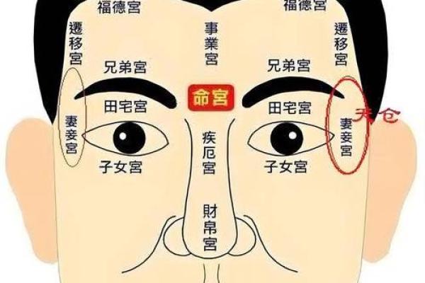 眼珠失神面相解析：痴呆面相的奥秘揭示