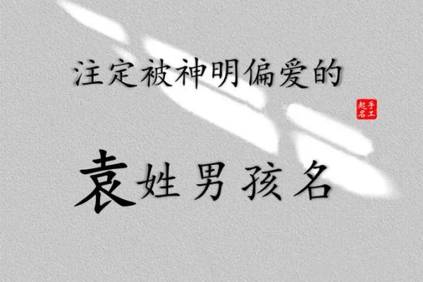 袁姓鸡宝宝名字创意集