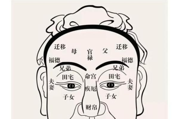 面相解析：肉多藏福，如何辨别面相中的福气之相