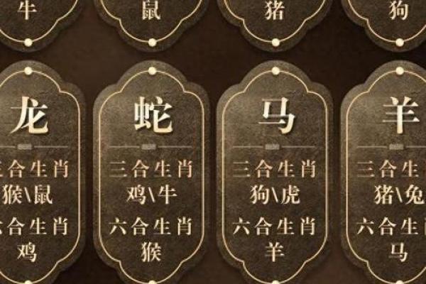 命理大师陈冠宇：揭秘你的运势走向