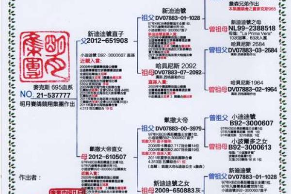 鸽名如诗：一场关于鸽名创意的头脑风暴
