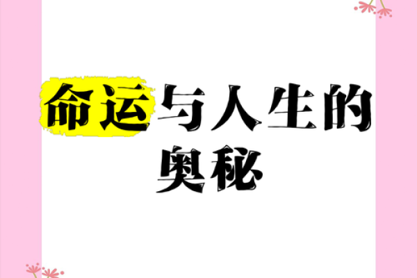 吴媚：魅力四溢，命运璀璨——解析姓名中的运势奥秘
