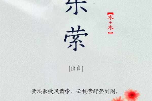 梦幻小清新：女孩名字里的诗意世界