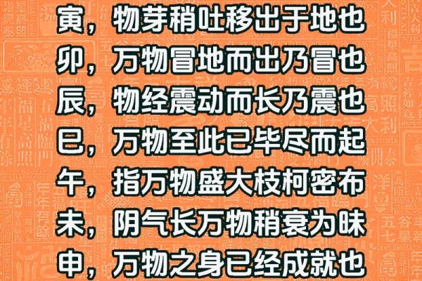 跨越时空的智慧：地支规律解析