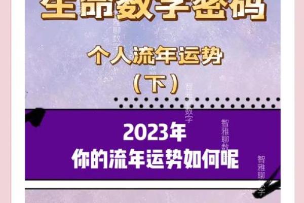 董臻：蕴藏智慧与吉祥，未来可期的名字运势解析