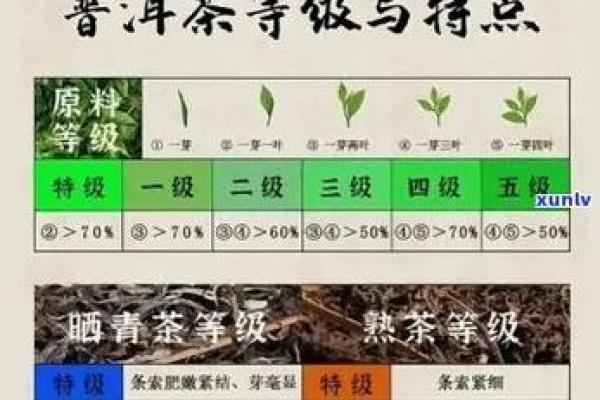 茶叶公司命名的五大要素与成功案例分享