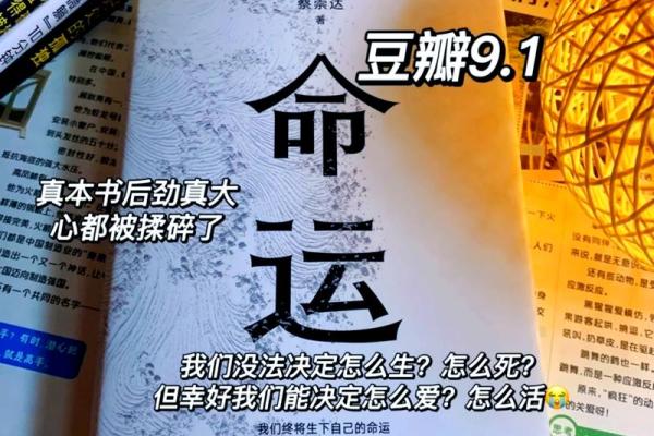 解锁命运密码：命理新论带你揭秘人生轨迹