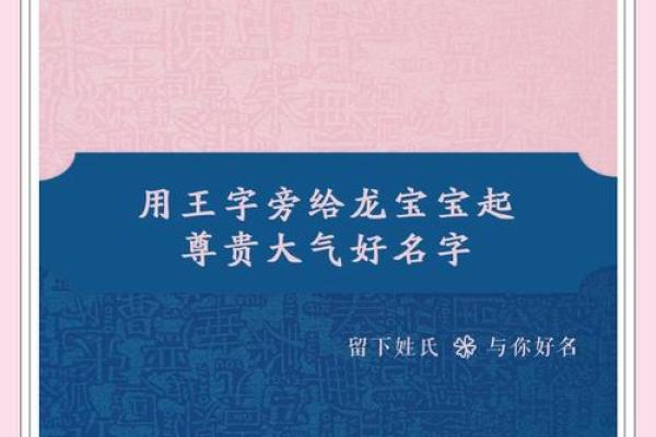 天龙宝宝名字精选：独特韵味，传承经典