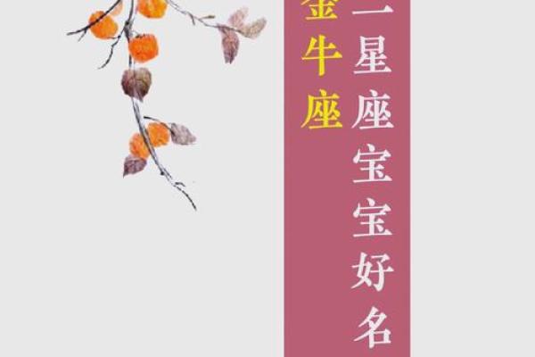 狗年祥瑞，精选宠物狗宝宝名字