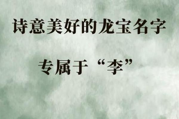 名字中的银色魅力：揭秘李银的独特寓意